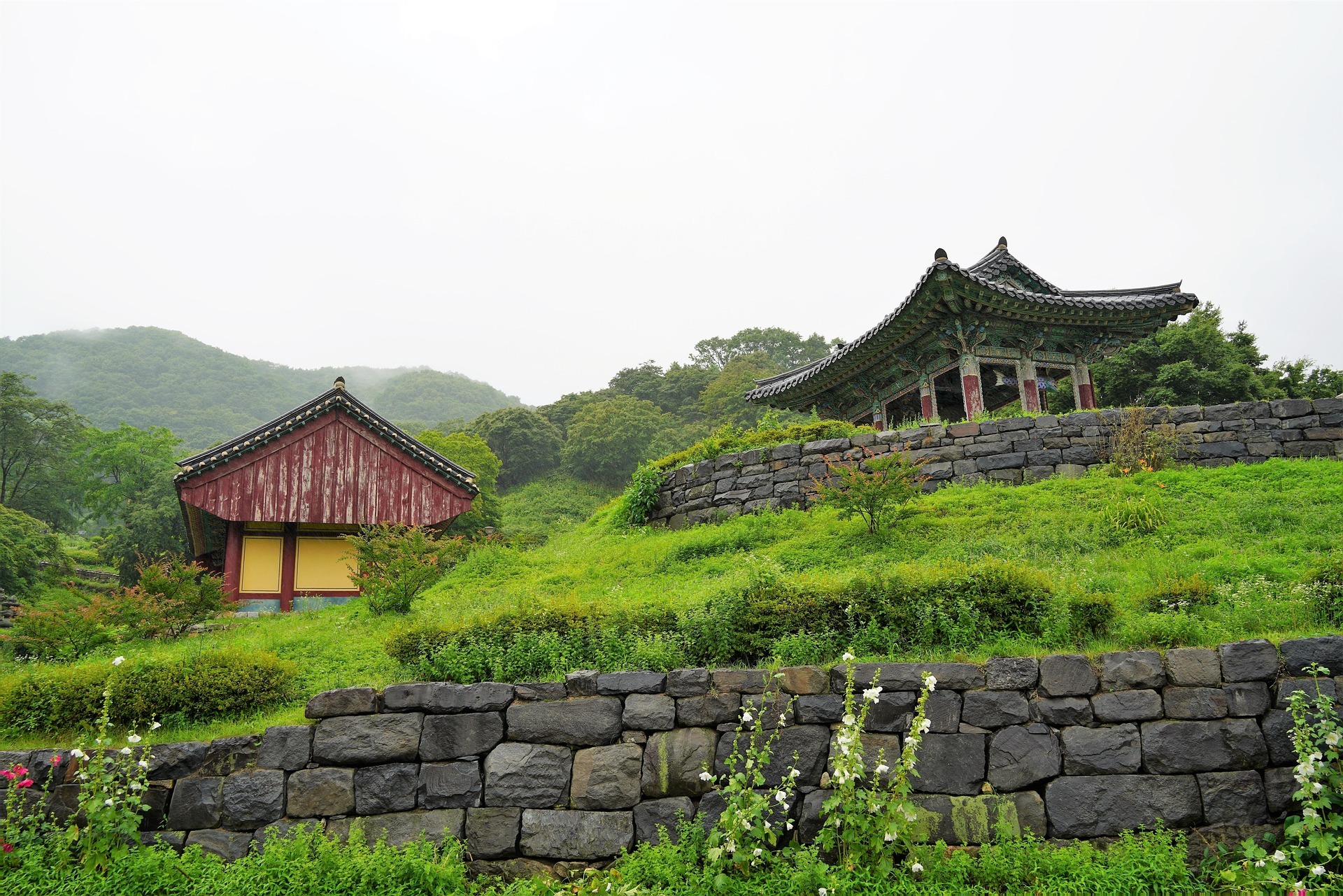 korea summer (3)